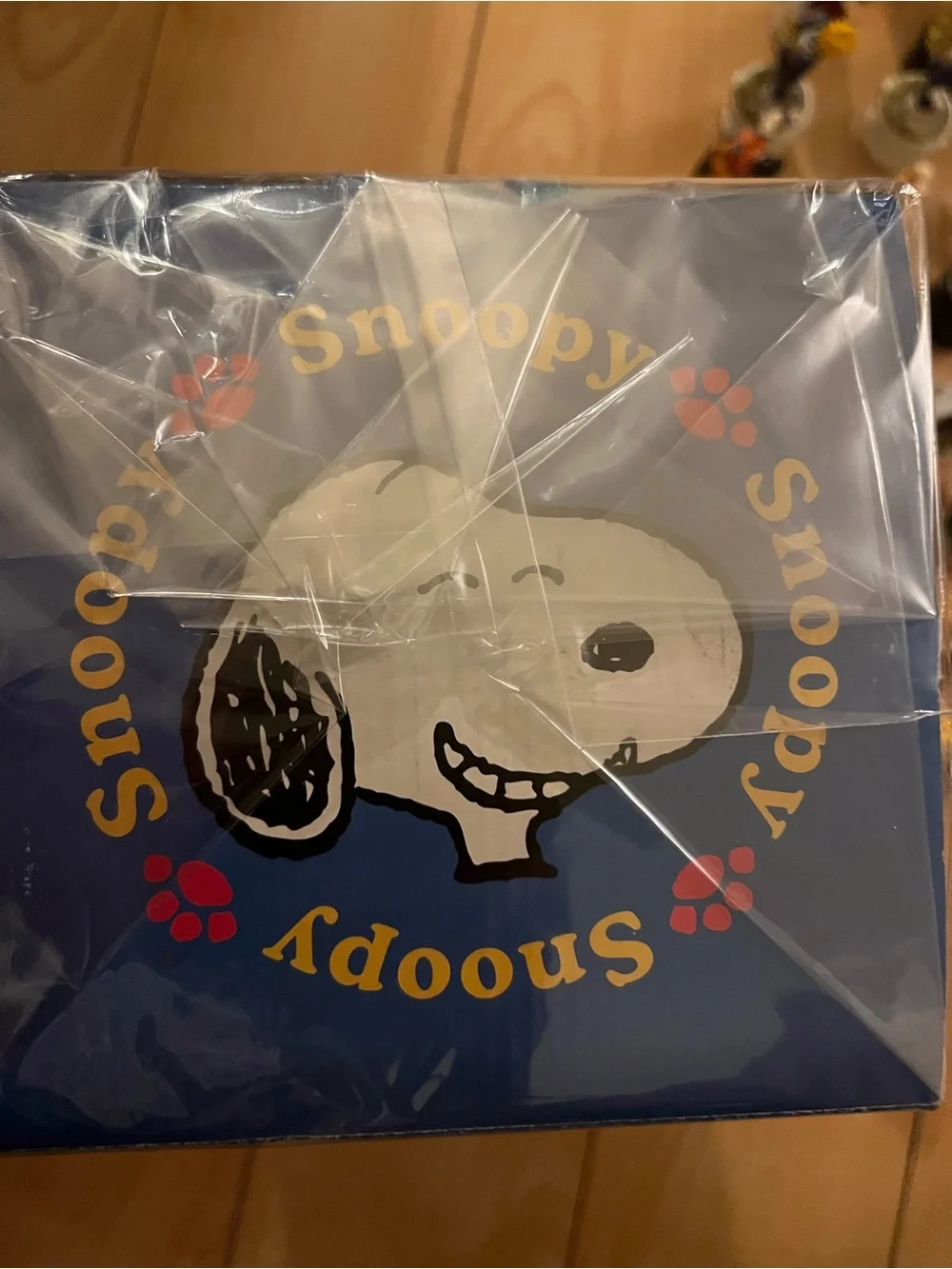 Snoopy vacuum flask